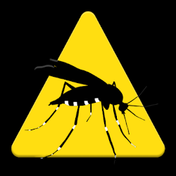 Mosquito Alert Logo
