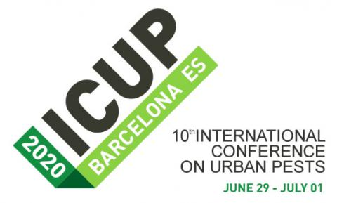 ICUP Logo